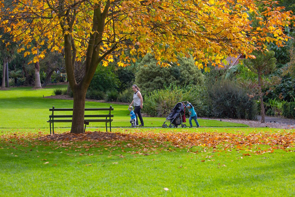 Geelong Botanic Gardens, East Geelong – Classes Events & Activities for